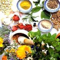 Manufacturers Exporters and Wholesale Suppliers of Herbal Products 1 NEW DELHI DELHI